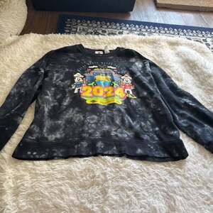 Disney Cruise Line 2024 Crew Neck Sweatshirt Medium